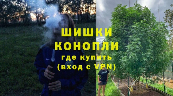 спайс Аркадак