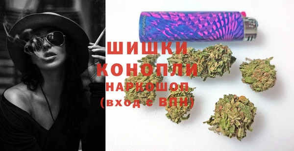 прущие грибы Армянск