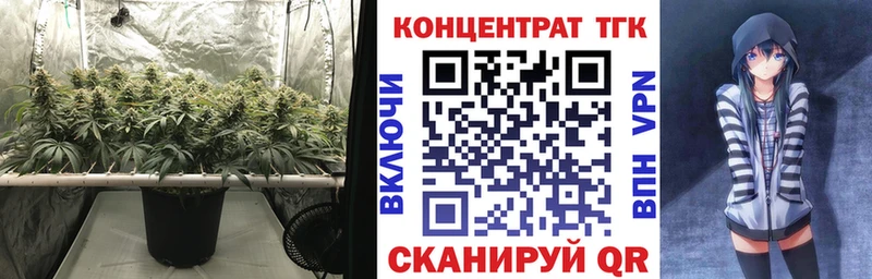 ТГК вейп  Купить  Онега 